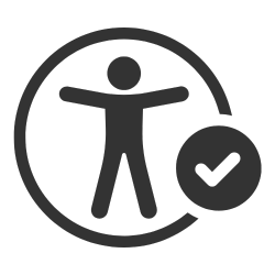 Accessibility Requirements